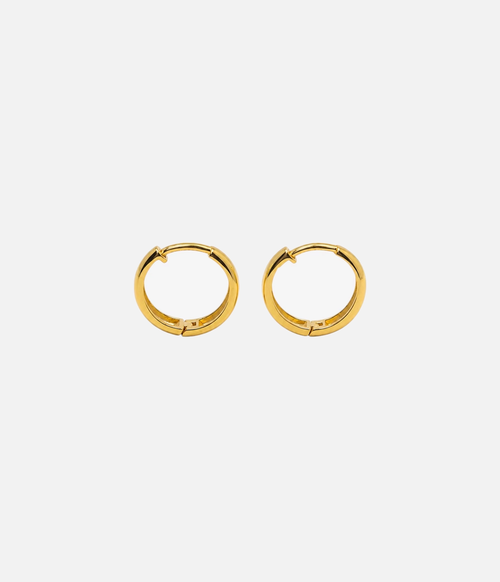 Classic Gold Hoop Earrings_02
